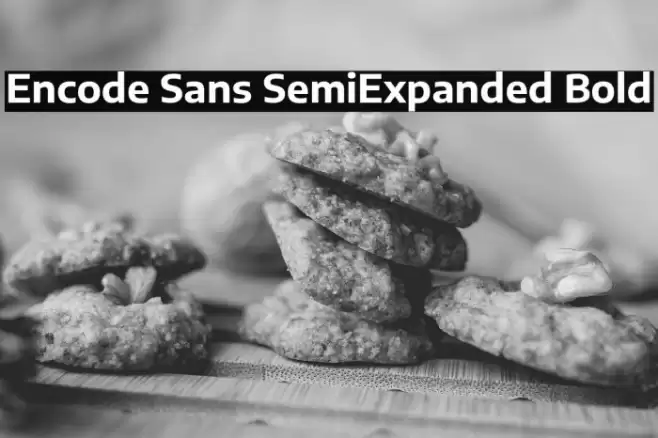 Encode Sans SemiExpanded Bold Font examples
