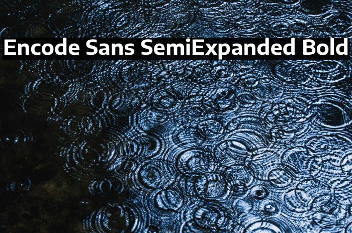 Encode Sans SemiExpanded Bold Example 2