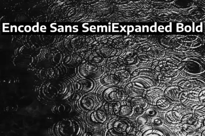 Encode Sans SemiExpanded Bold Font examples