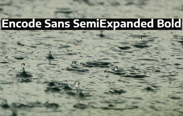 Encode Sans SemiExpanded Bold Example 3