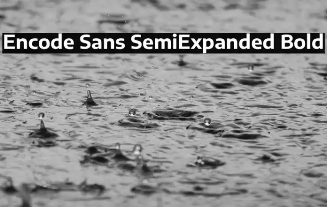 Encode Sans SemiExpanded Bold Font examples