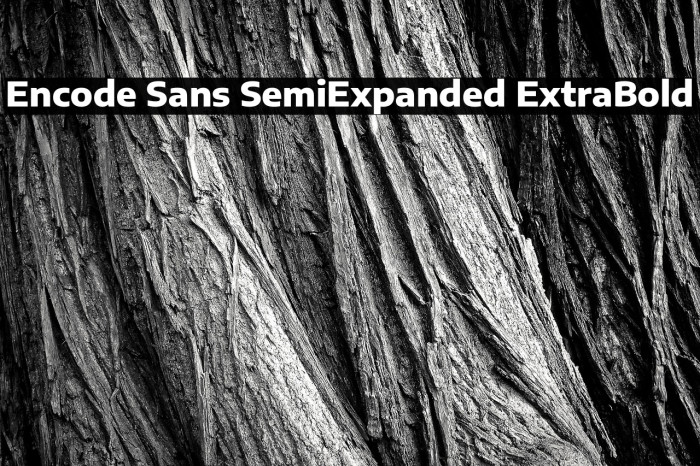 Encode Sans SemiExpanded ExtraBold Example 2