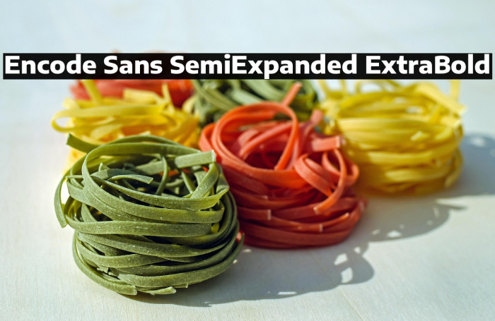 Encode Sans SemiExpanded ExtraBold Example 3