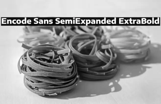 Encode Sans SemiExpanded ExtraBold Example 3