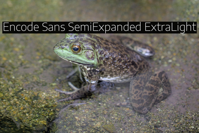 Encode Sans SemiExpanded ExtraLight Example 2