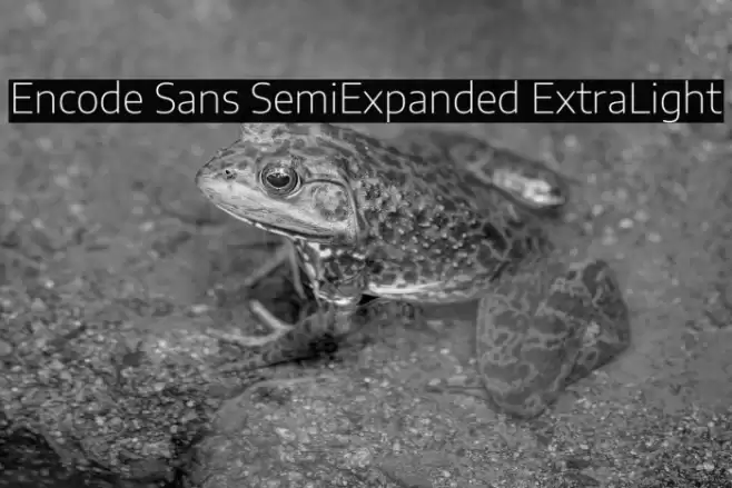 Encode Sans SemiExpanded ExtraLight Font examples