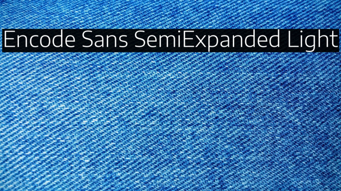 Encode Sans SemiExpanded Light Example 1