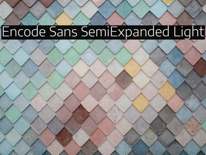 Encode Sans SemiExpanded Light Example 3