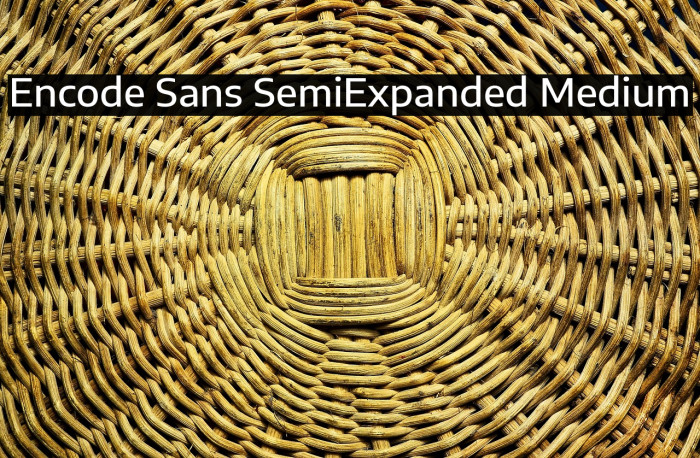 Encode Sans SemiExpanded Medium Example 1