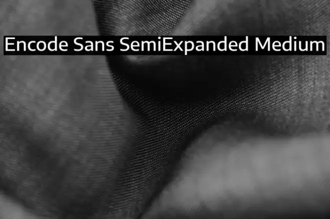 Encode Sans SemiExpanded Medium Font examples