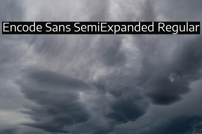 Encode Sans SemiExpanded Regular Example 1