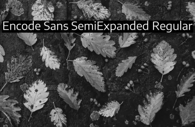 Encode Sans SemiExpanded Regular Font examples