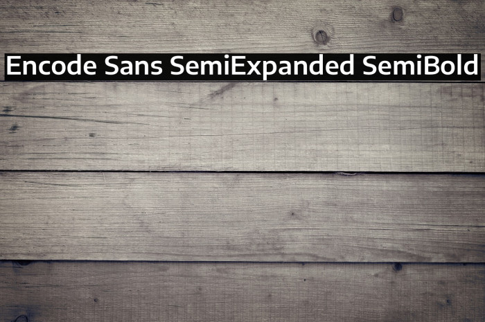 Encode Sans SemiExpanded SemiBold Example 1