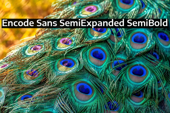 Encode Sans SemiExpanded SemiBold Example 2