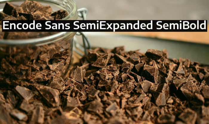 Encode Sans SemiExpanded SemiBold Example 3