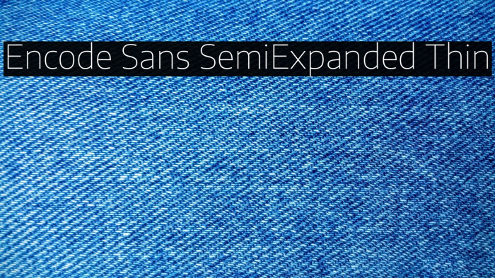 Encode Sans SemiExpanded Thin Example 1