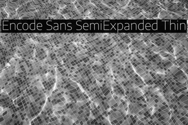 Encode Sans SemiExpanded Thin Example 2
