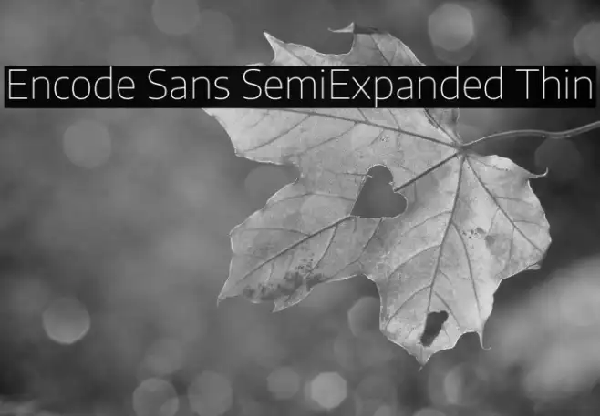 Encode Sans SemiExpanded Thin Example 3