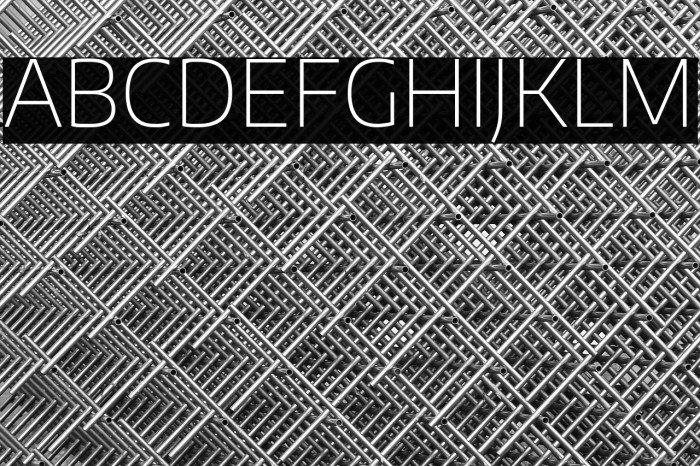 Encode Sans Thin Example 1