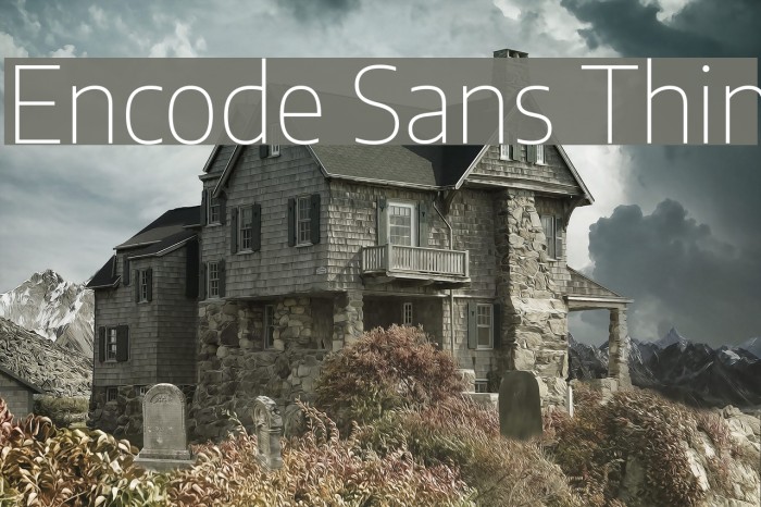 Encode Sans Thin Font examples