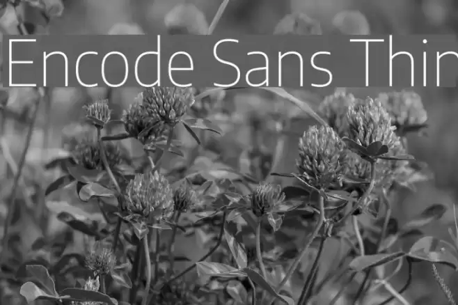 Encode Sans Thin フォント examples