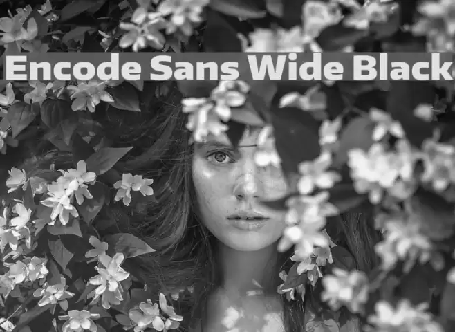 Encode Sans Wide Black フォント examples