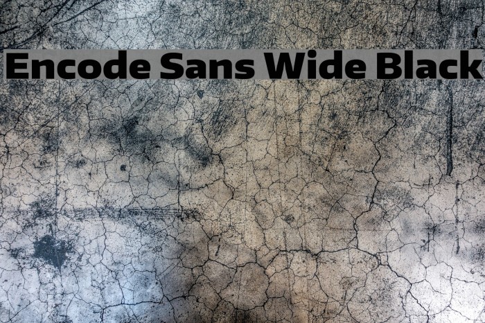 Encode Sans Wide Black Font examples