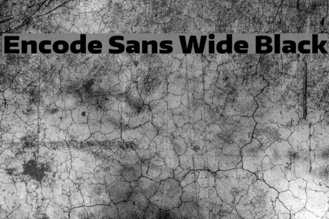 Encode Sans Wide Black フォント examples