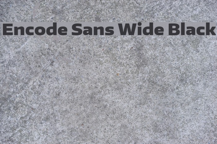 Encode Sans Wide Black Font examples