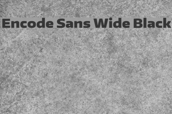 Encode Sans Wide Black フォント examples