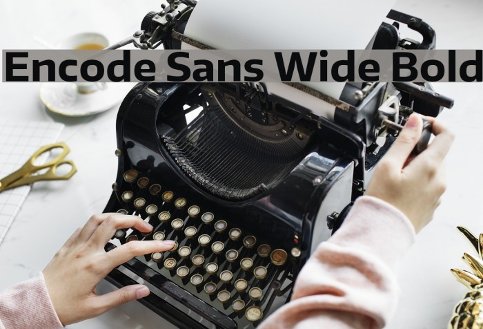 Encode Sans Wide Bold Font examples