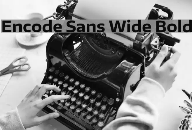 Encode Sans Wide Bold Example 1