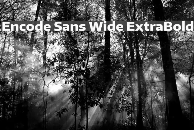 Encode Sans Wide ExtraBold Example 3