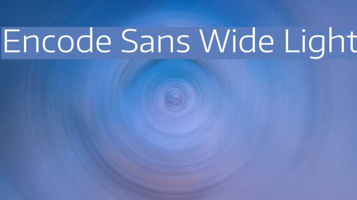 Encode Sans Wide Light Font examples