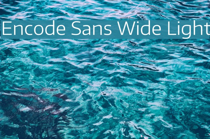 Encode Sans Wide Light Font examples