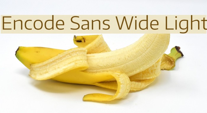 Encode Sans Wide Light Font examples