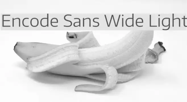 Encode Sans Wide Light Example 3