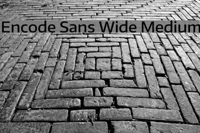 Encode Sans Wide Medium Example 3