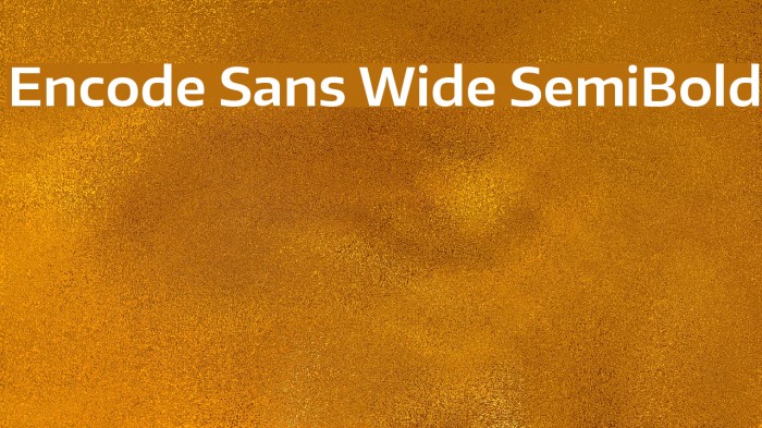 Encode Sans Wide SemiBold Font examples