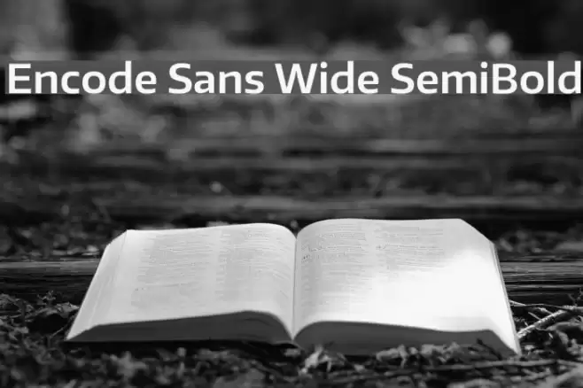 Encode Sans Wide SemiBold Font examples