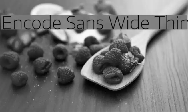 Encode Sans Wide Thin Example 1