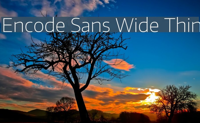 Encode Sans Wide Thin Font examples