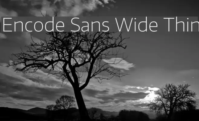 Encode Sans Wide Thin Example 2