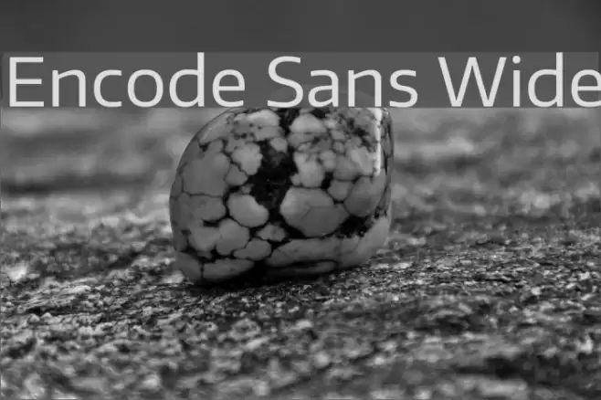 Encode Sans Wide Font examples