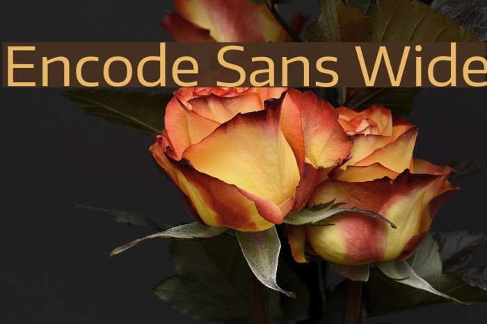 Encode Sans Wide Font examples