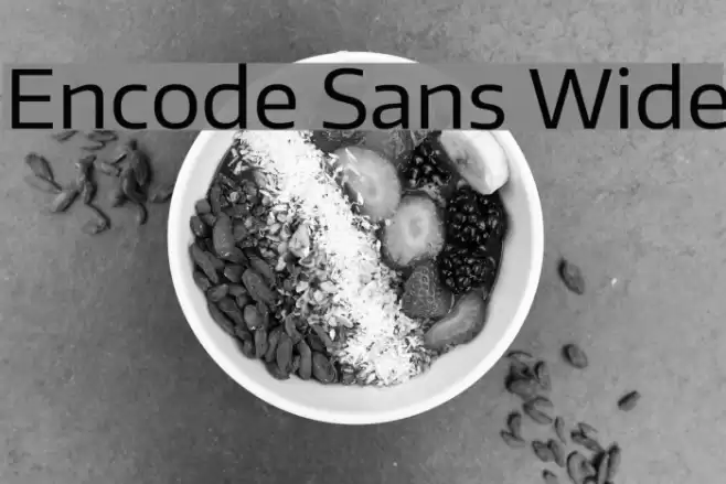 Encode Sans Wide Font examples