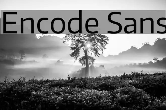 Encode Sans Font examples