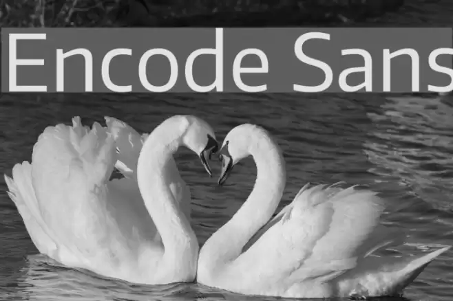 Encode Sans Font examples