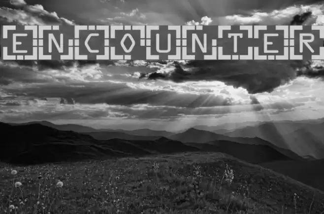 Encounter Polices examples