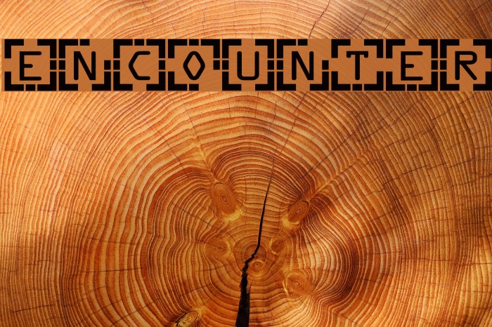 Encounter Font examples